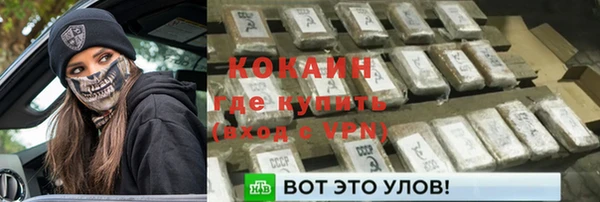 дживик Нягань