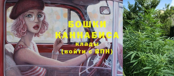 дживик Нягань