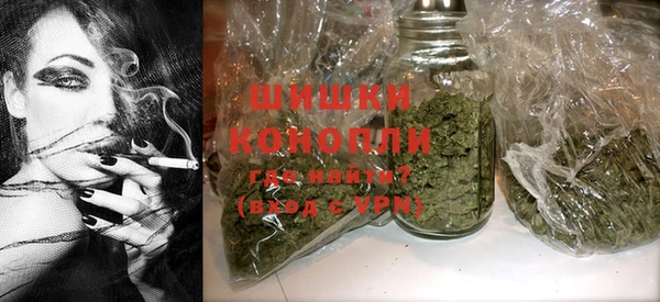 дживик Нягань