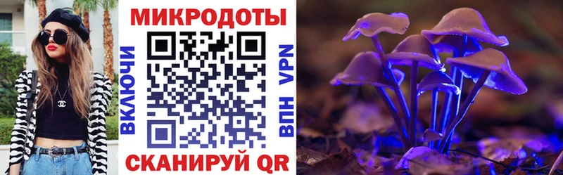 Купить закладки  Камызяк  Псилоцибиновые грибы GOLDEN TEACHER 